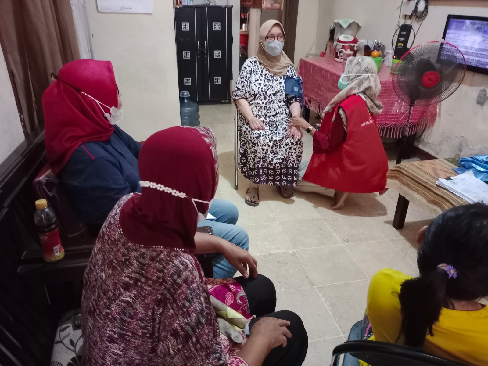 Program Indonesia sehat