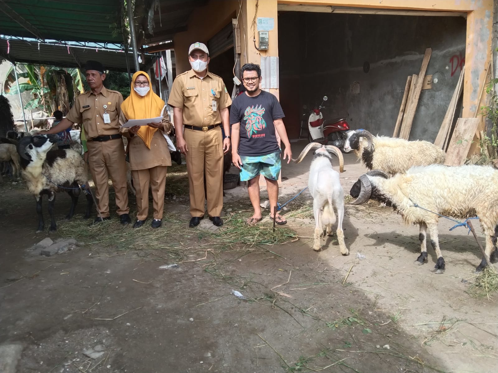 MONITORING HEWAN QURBAN