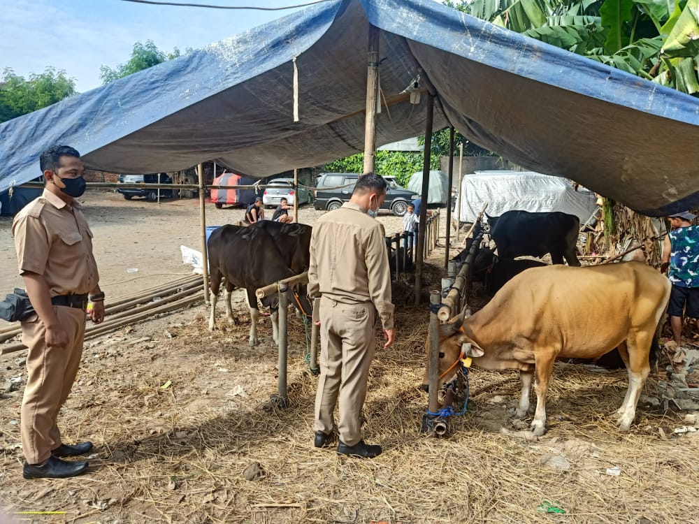 Monitorting Lapak Hewan Kurban dalam menyambut Idul Adha 1443 H/2022M