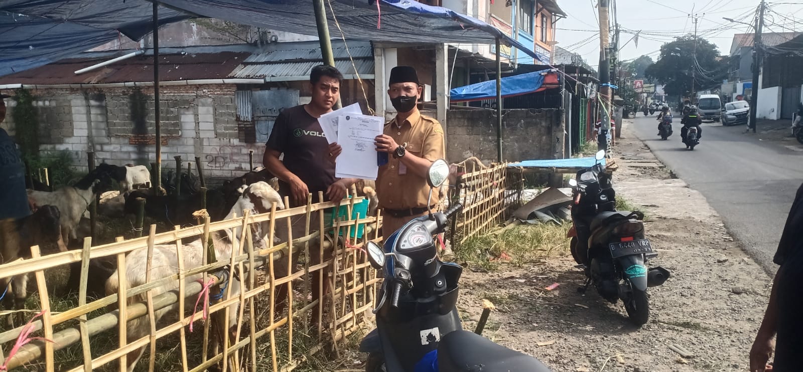 Monitoring Lapak Hewan Qurban