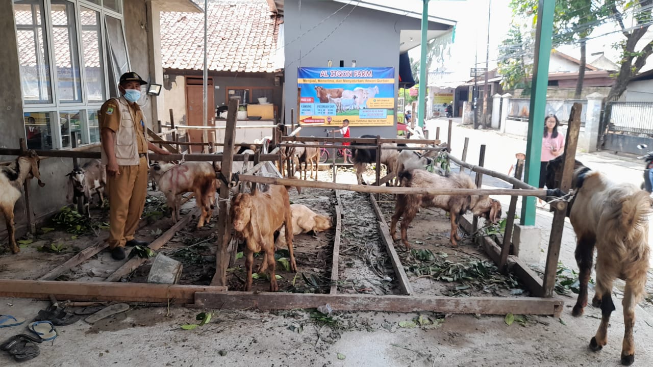 Giat Monitoring Lapak Hewan Qurban