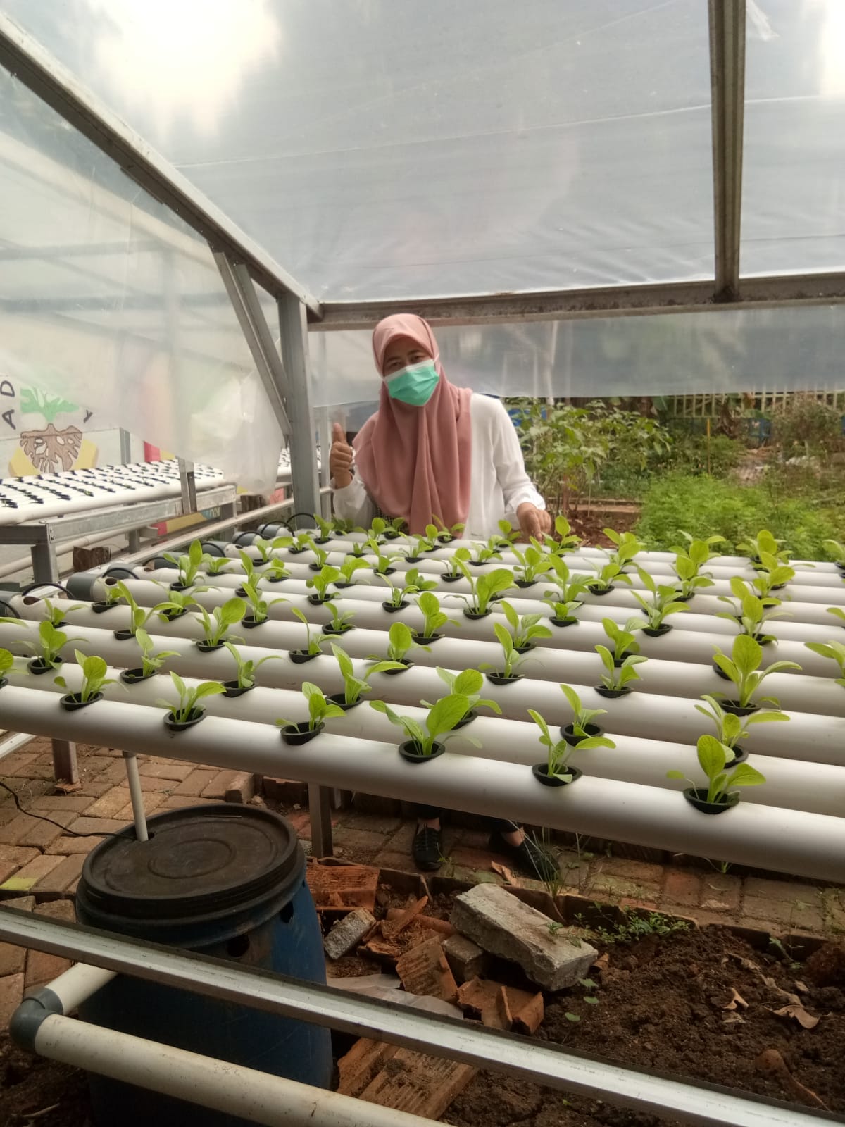 Monitoring KWT 