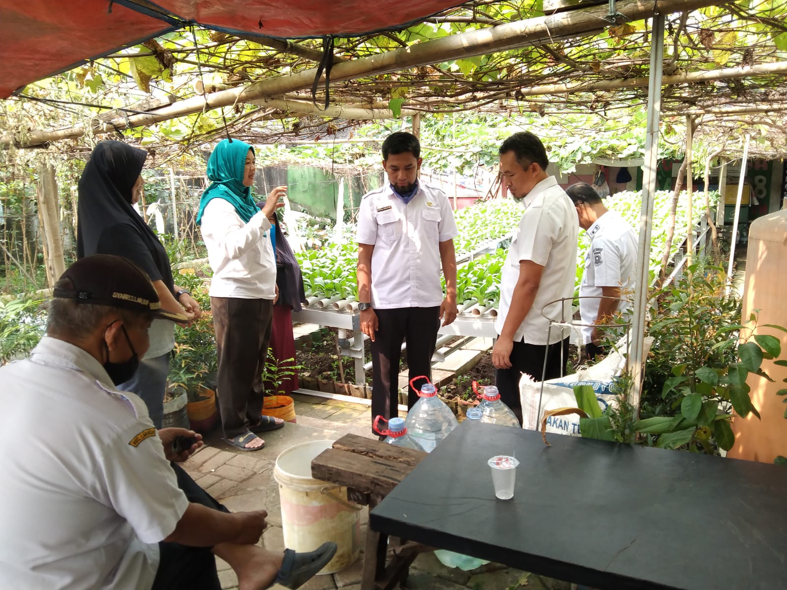 Kunjungan KWT 