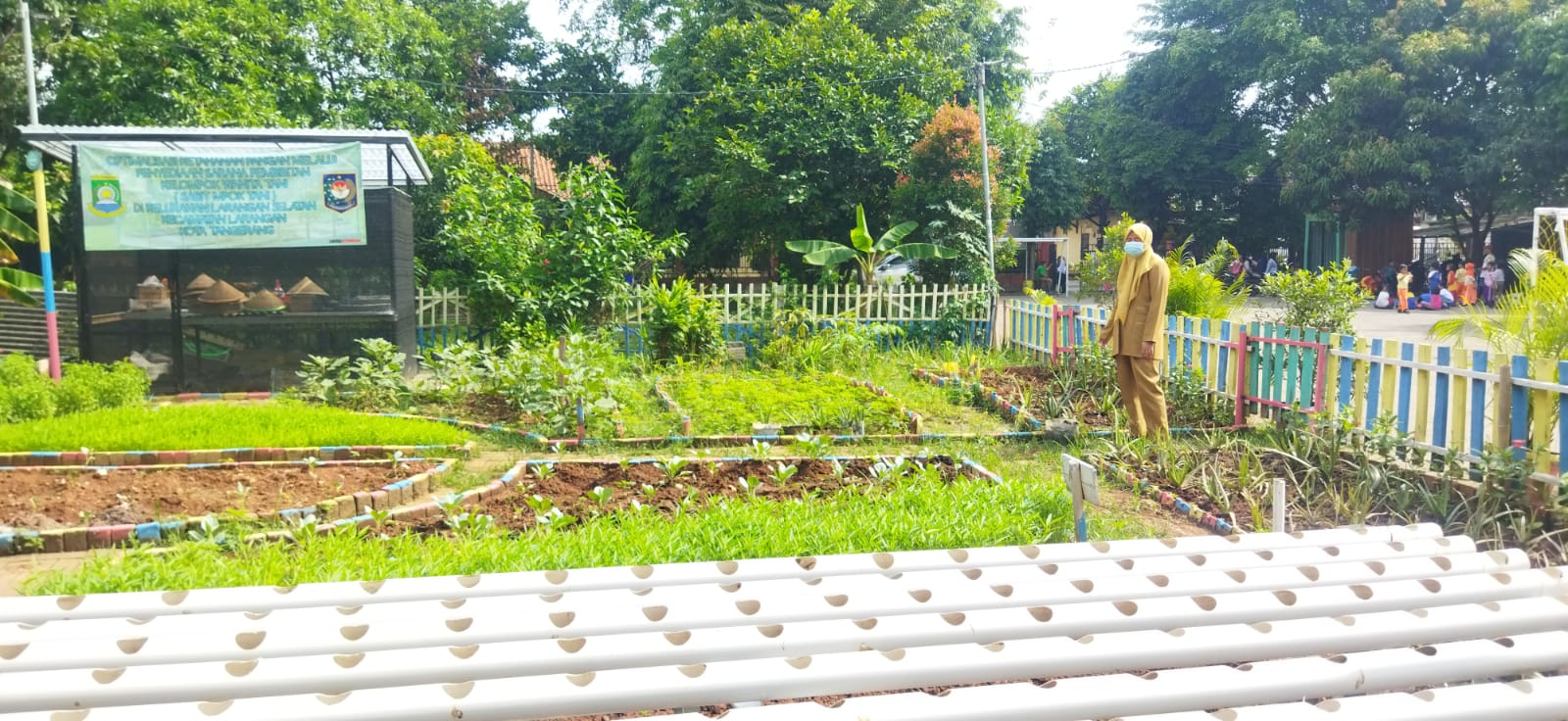 MONITORING PERSIAPAN PEMANFAATAN TOGA 