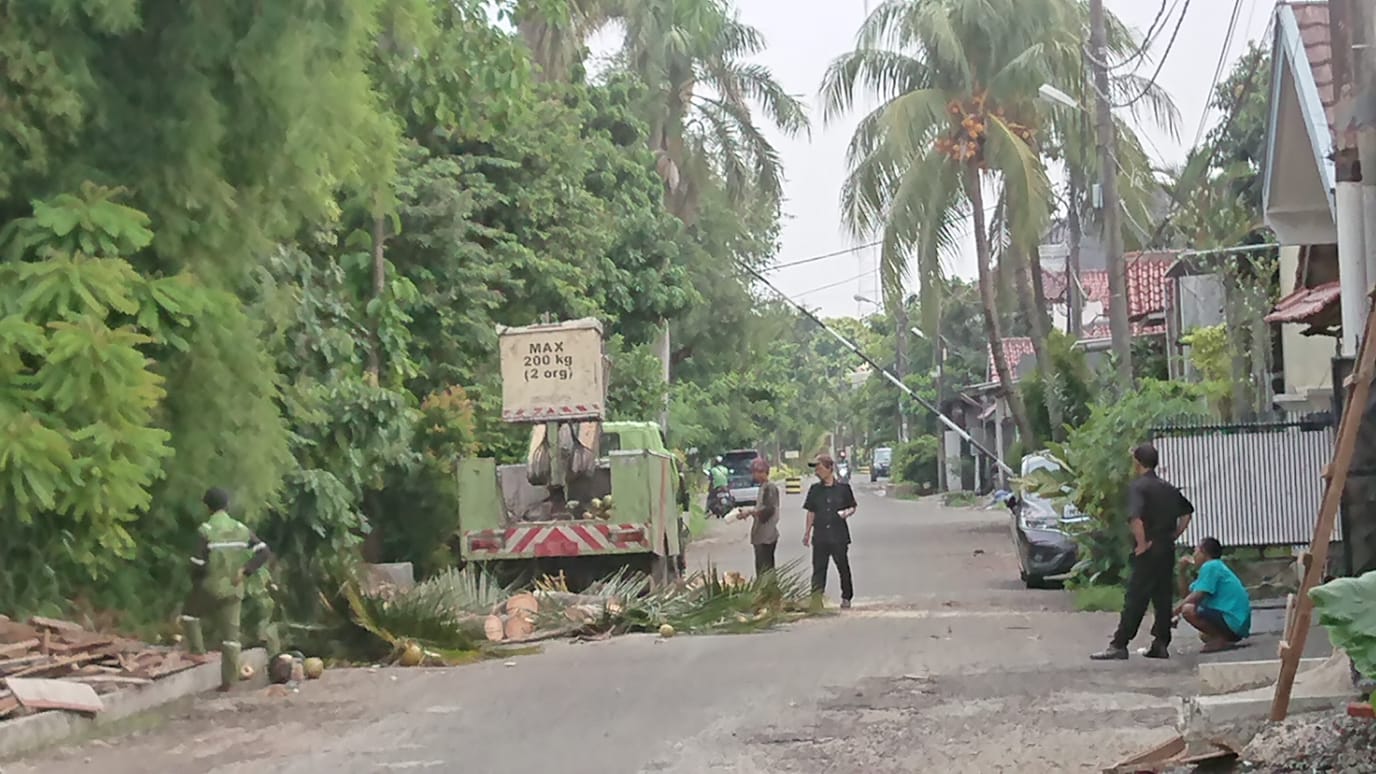 Giat Penebangan Pohon