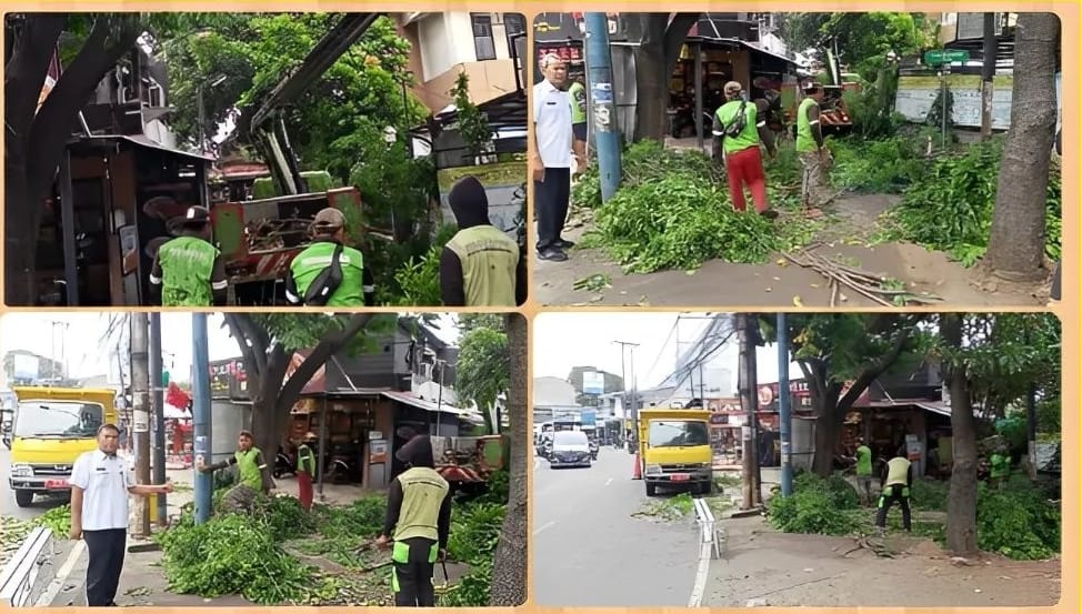 Giat pemangkasan pohon didepan Kantor Kelurahan Kreo oleh Dinas Pertamanan